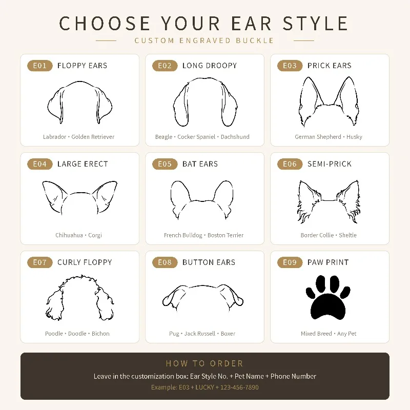 Chapa Identificación Personalizada para Perros y Gatos – Corazón con Nombre - imagen 5