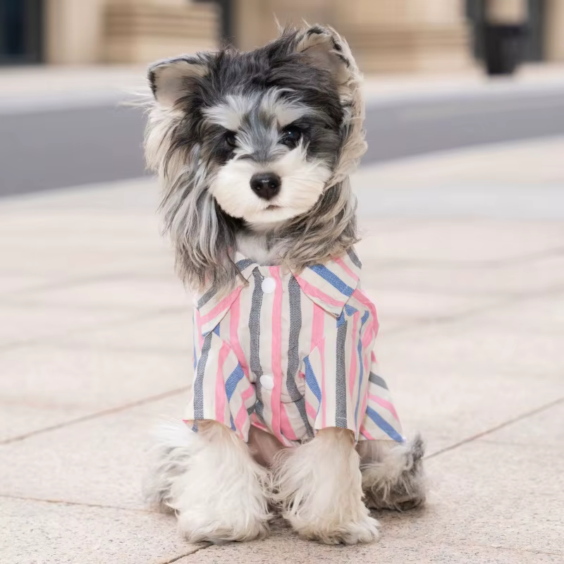 Camisa veraniega a rayas con oso para perro Yorkie y gato pequeño - imagen 5