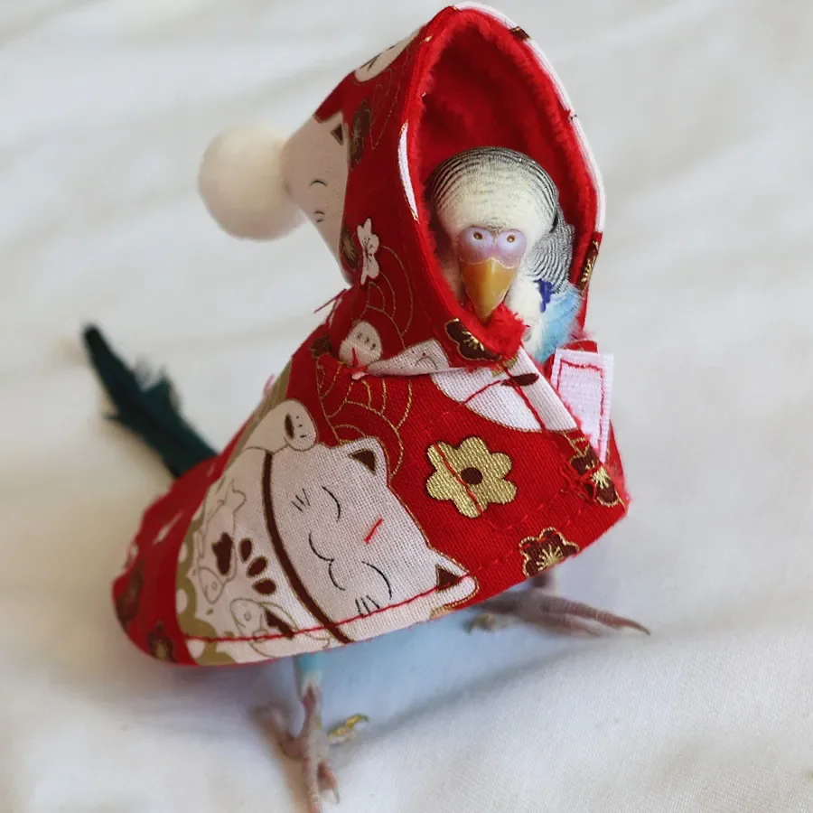 Lovely Bird Clothes Colorful Cover - Ave usando el traje