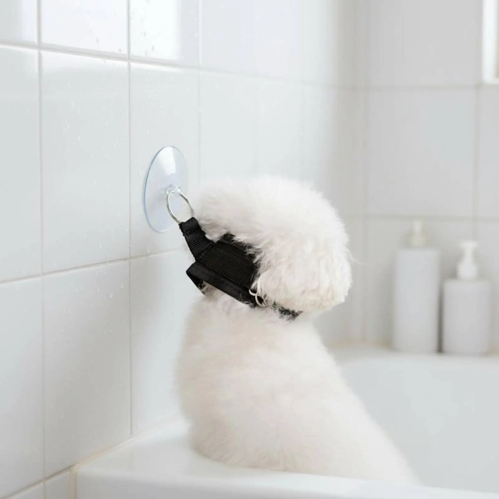 Correa resistente para baño con soporte de succión para perros y gatos - imagen 3