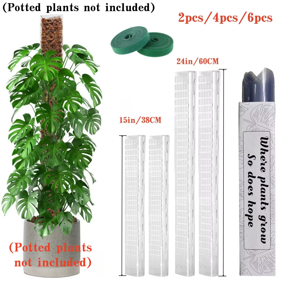 Soporte para plantas trepadoras de interior: varilla de musgo - imagen 5