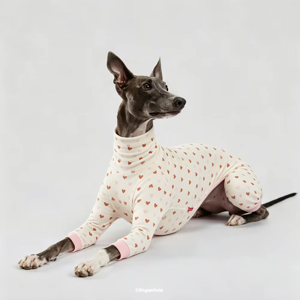 Pijama suave de cuello alto para Galgo Italiano y Whippet - imagen 5