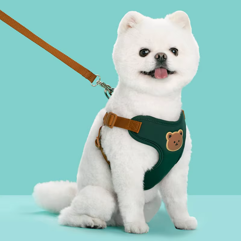 Arnés ajustable con correa para perro y gato – Chaleco de osito