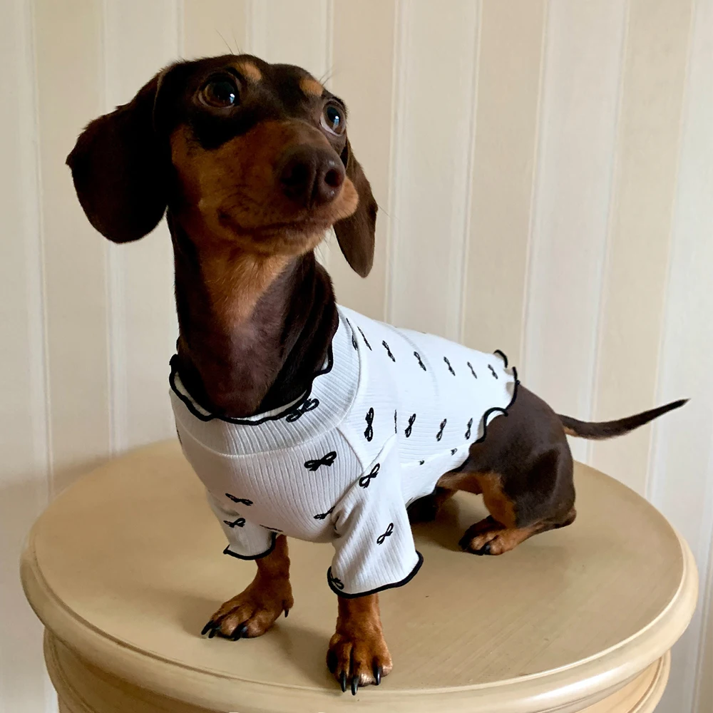 Camiseta verano de algodón para perro salchicha – Dachshund