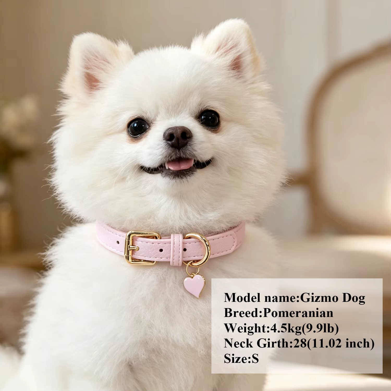 Collar personalizado de cuero PU para perro con nombre y placa - imagen 4
