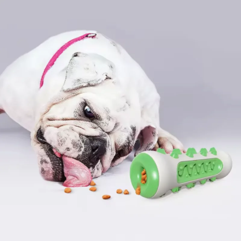 Cachorro mordiendo la barra de dentición