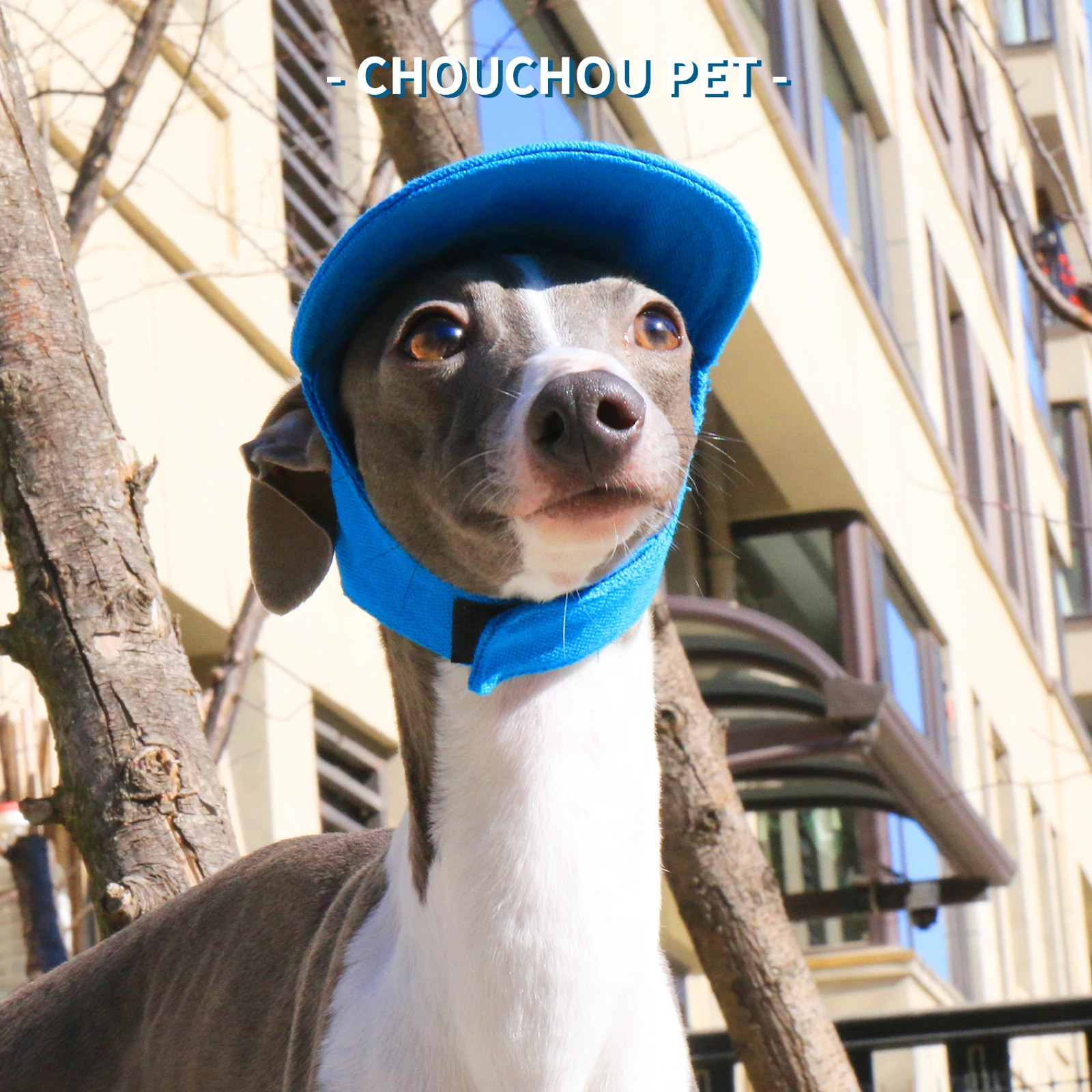 Gorra colgando para secar