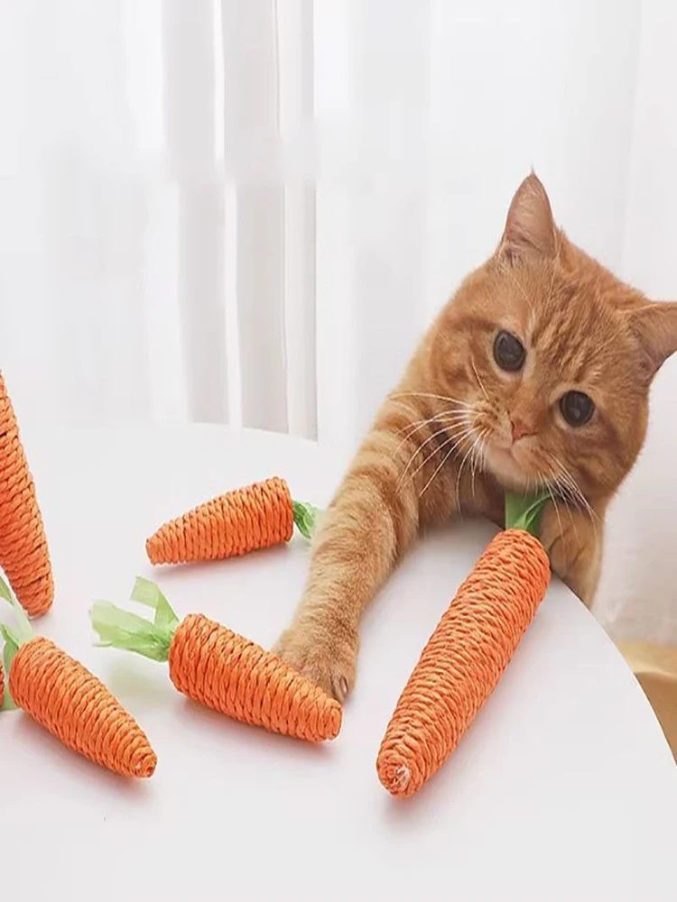 Gato interactuando con el juguete