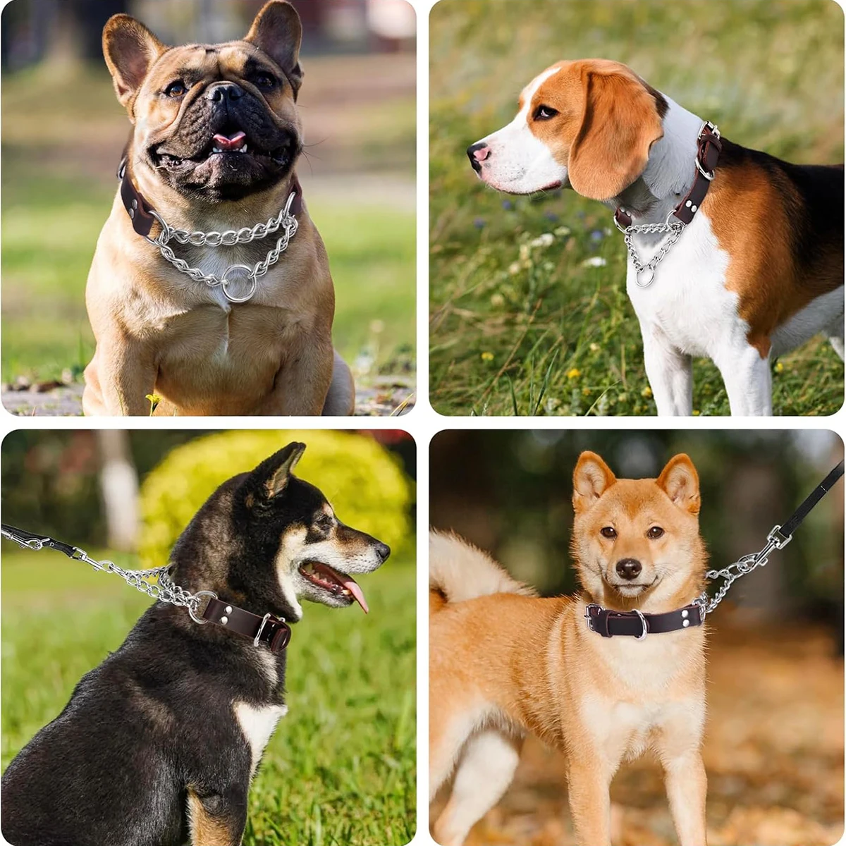 Collar Martingale de Cuero para Perros Medianos y Grandes - imagen 5