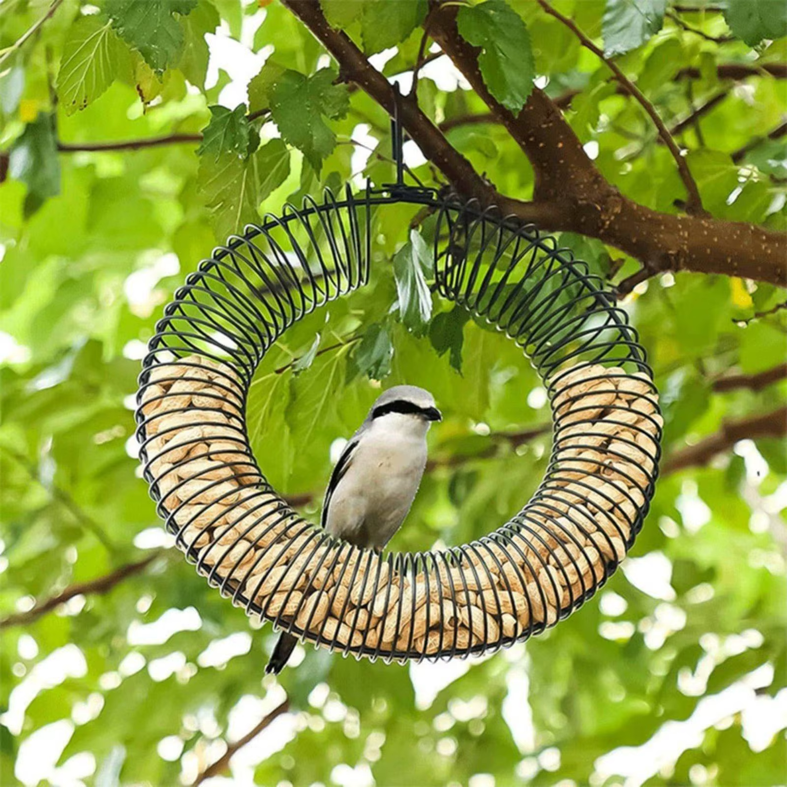 Comedero colgante para pájaros y ardillas, exterior metálico - imagen 2