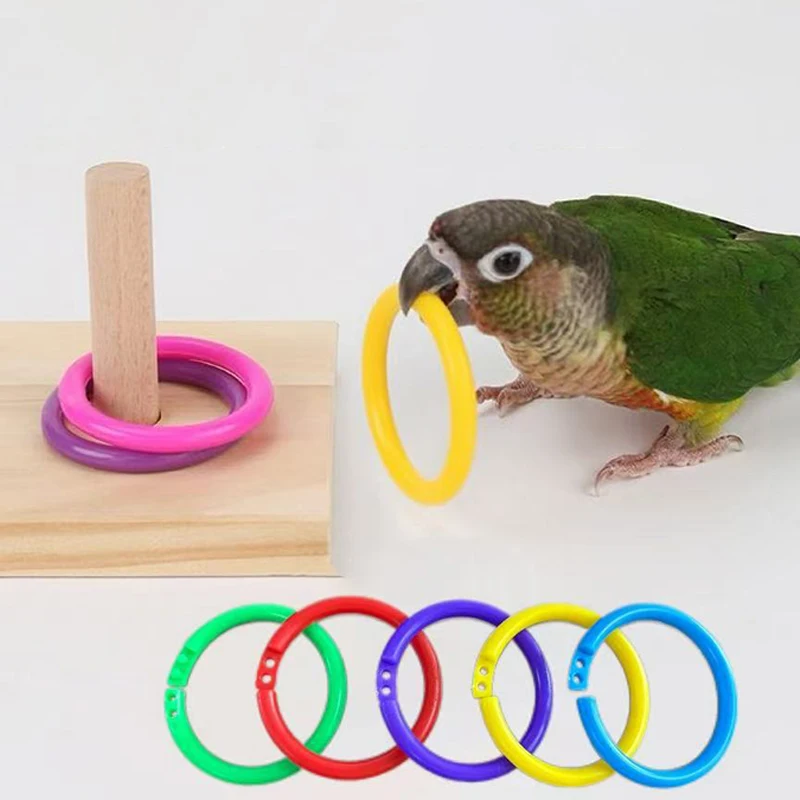 Juguete educativo de anillos de madera para loros y periquitos - imagen 2
