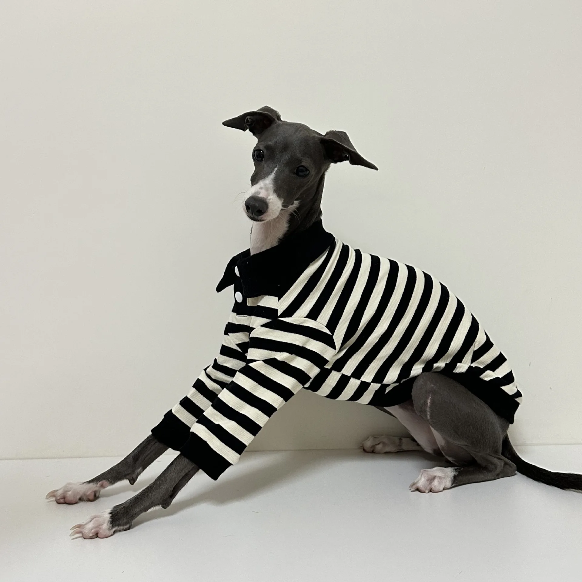 Ejemplo de combinación de tallas en galgo italiano