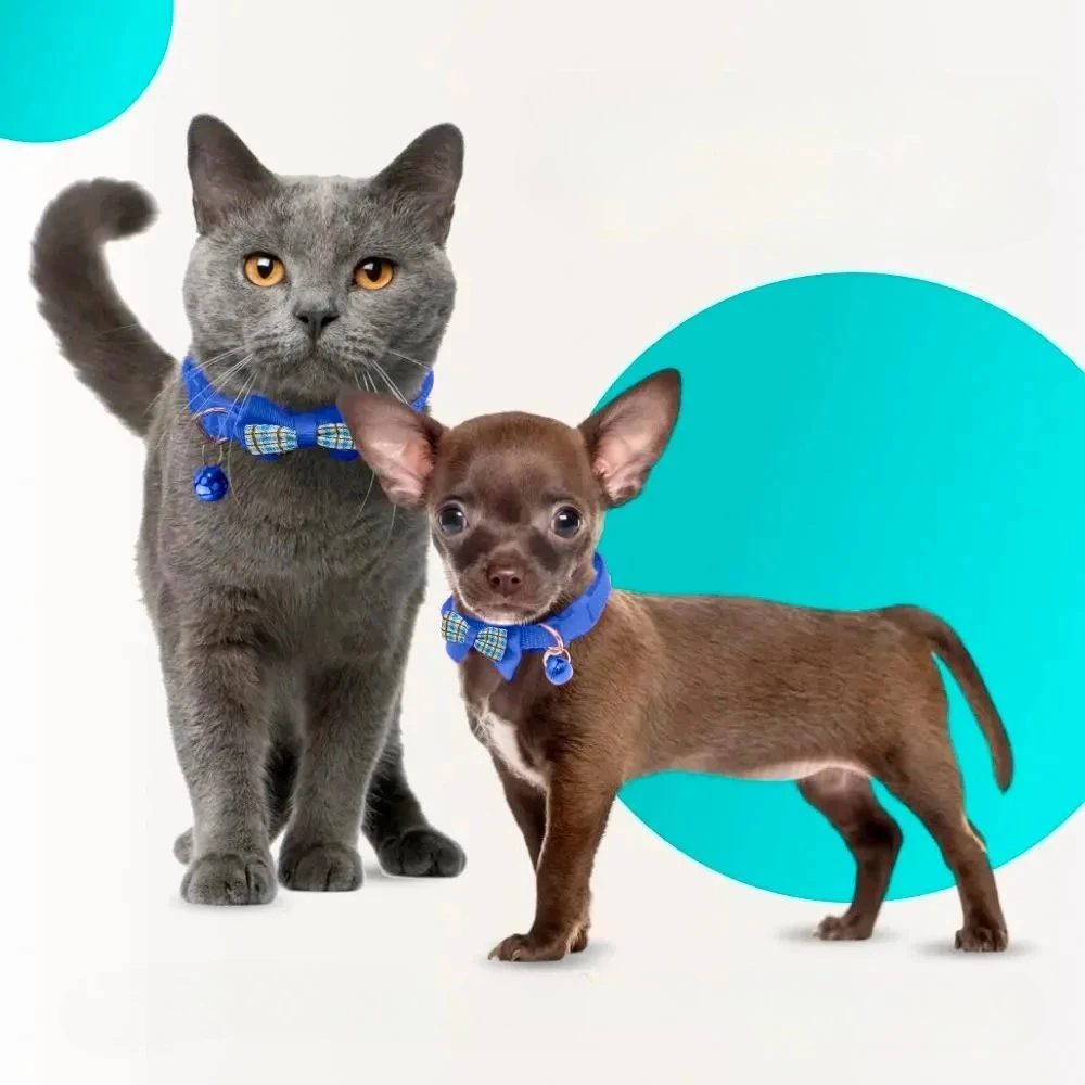 Collar ajustable para gato y perro con lazo y campana