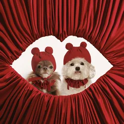 Gorro Tejido para Gatos y Perros – Cálido con Diseño Bola de Pelo