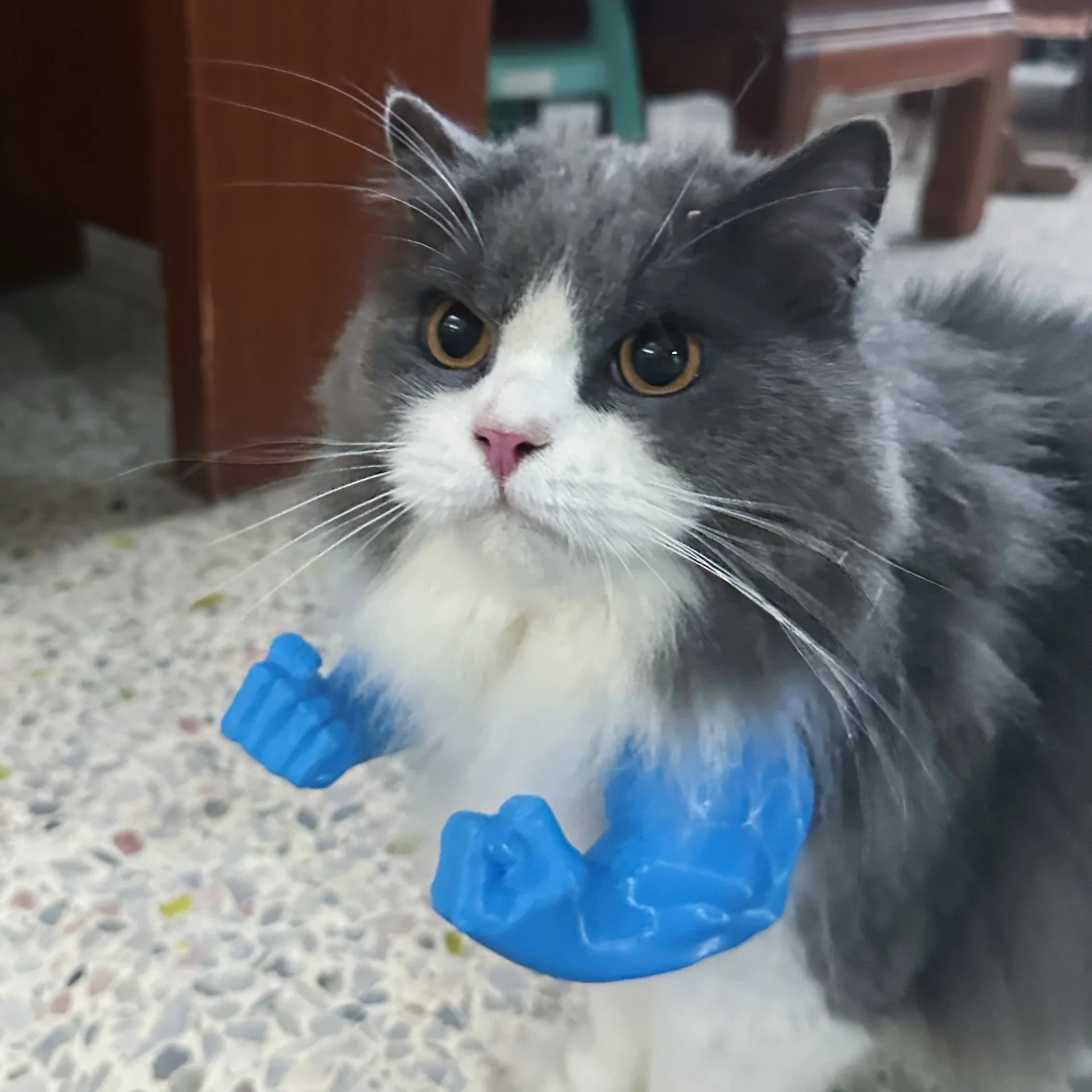 Interacción de mascota con el producto