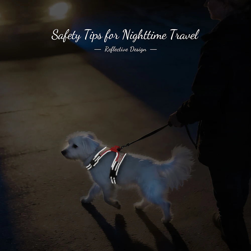 Arnés para perro reflectante con lazo y pedrería, chaleco Yorkshire - imagen 4
