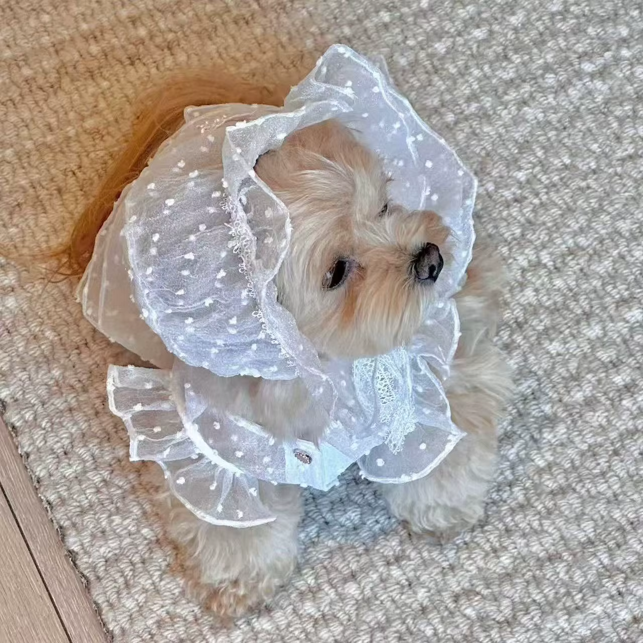 Vestido de princesa de encaje para perros pequeños y gatos - imagen 5