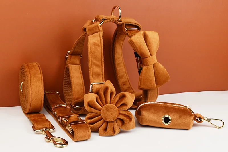 Collar y correa en diferentes colores