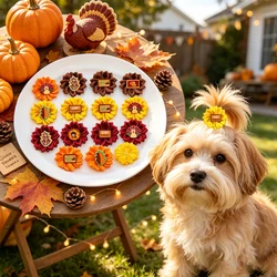 Lazos para el pelo de perro con diseño de otoño y gomas elásticas