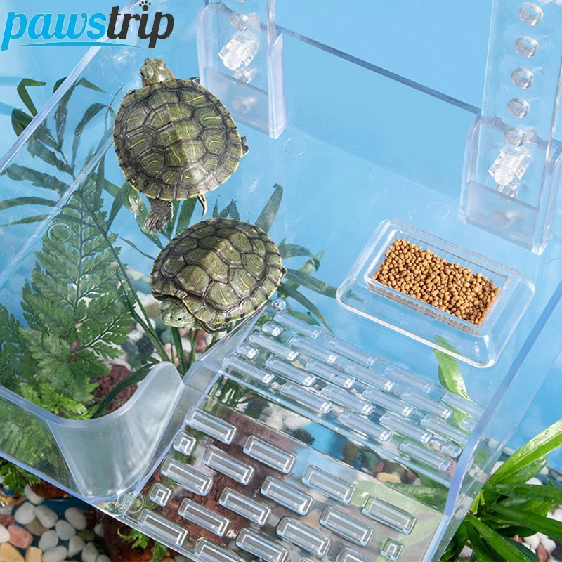 Plataforma flotante de acrílico para tortugas: sol y zona de comida - imagen 4