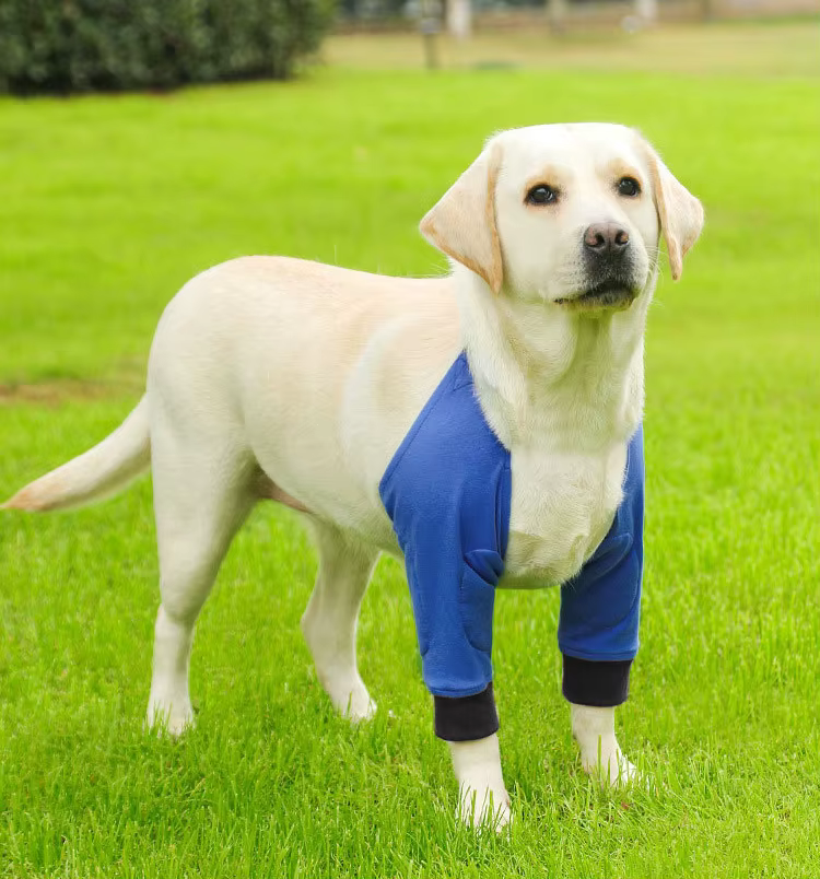 Sistema de ajuste de las rodilleras para perros