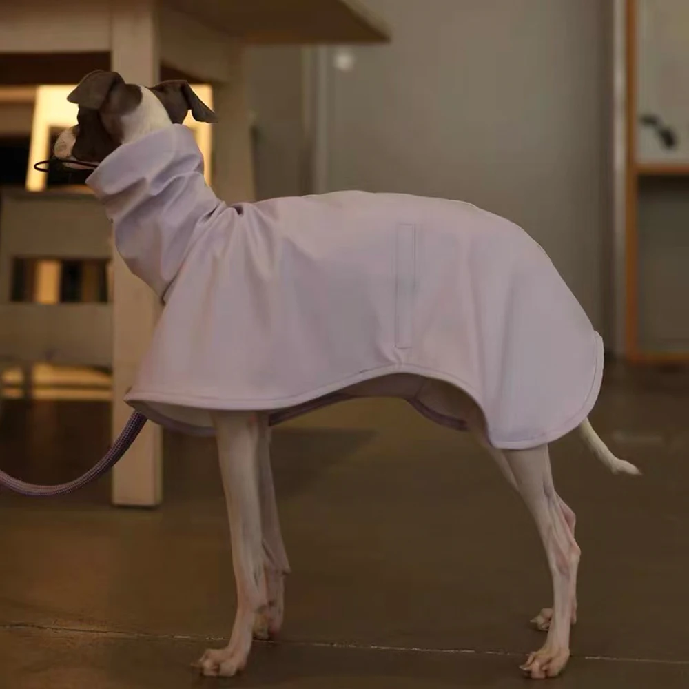 Perro corriendo con la capa impermeable