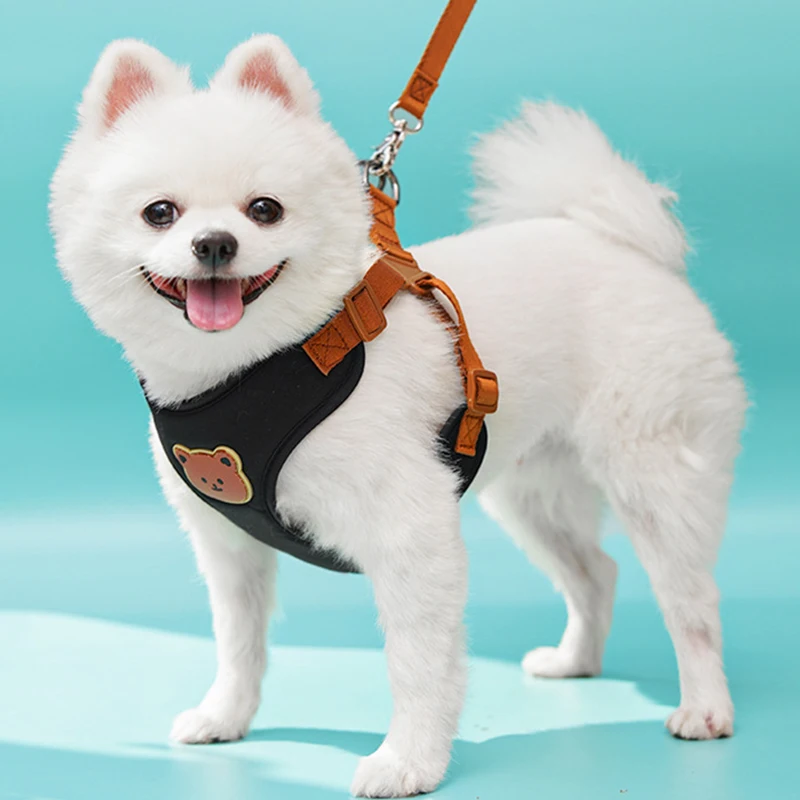 Arnés puesto en un perro mediano