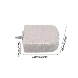 Percha para loros con piedra volcánica – Muela pico y uñas