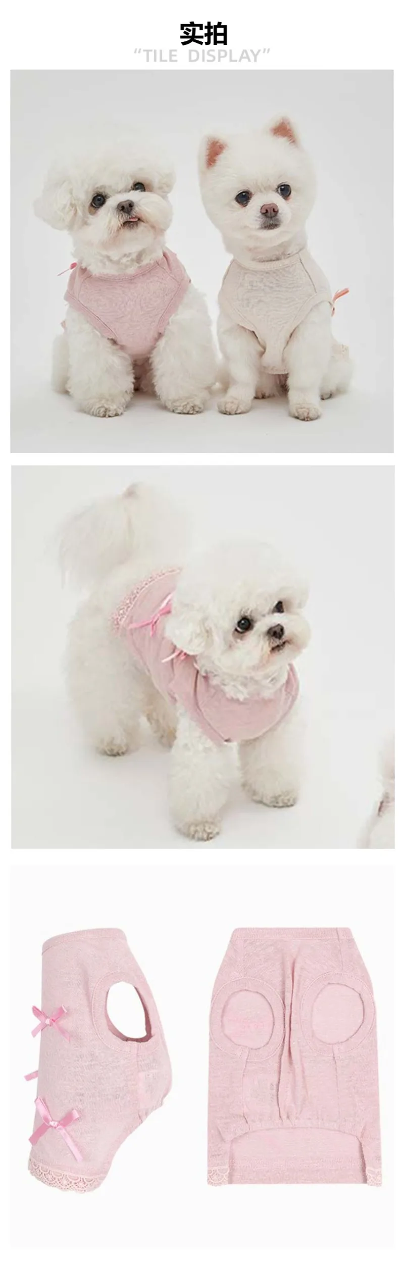 Ejemplo de mascota wearing the outfit
