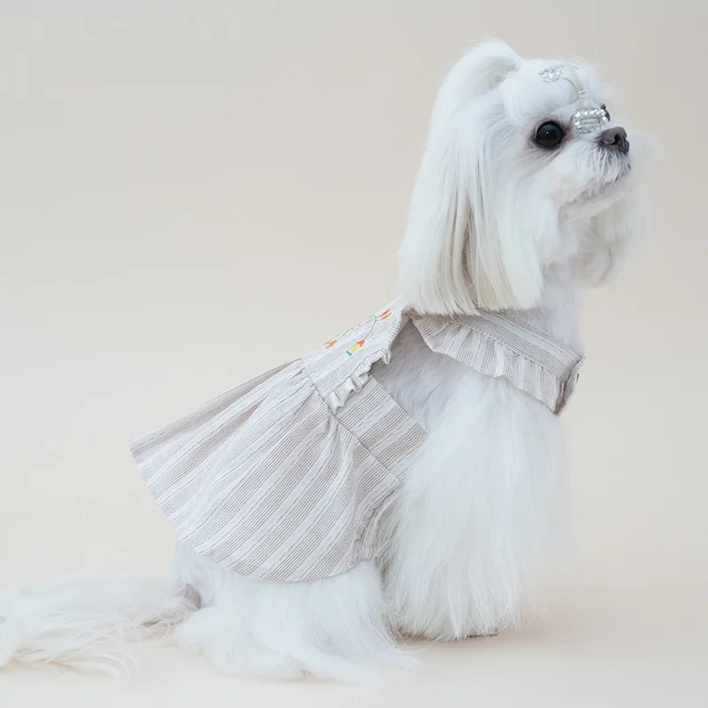 Ropa económica para perros pequeños