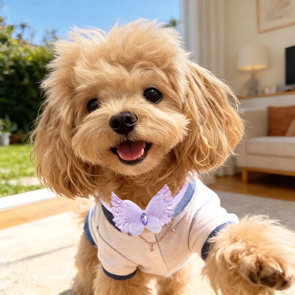 Lazo puesto en perro pequeño