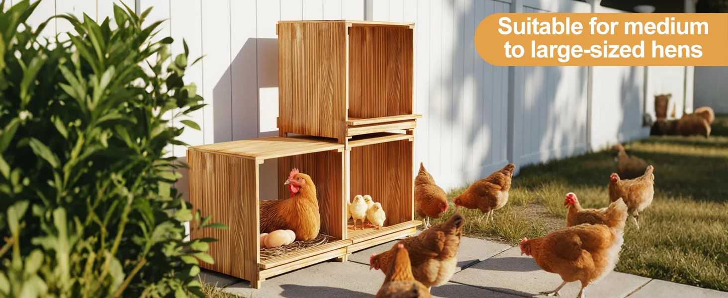 Caja de anidación montada en el gallinero, vista completa del producto