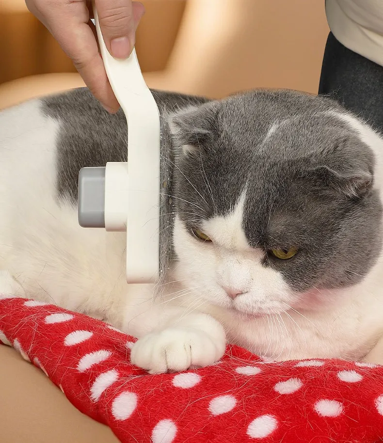 Cepillo automático para gatos en uso