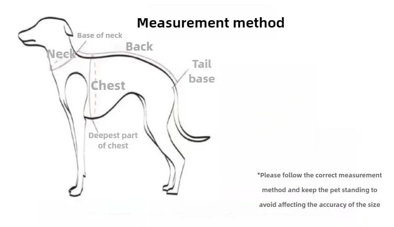 Perro grande con abrigo LZJV en entorno nevado