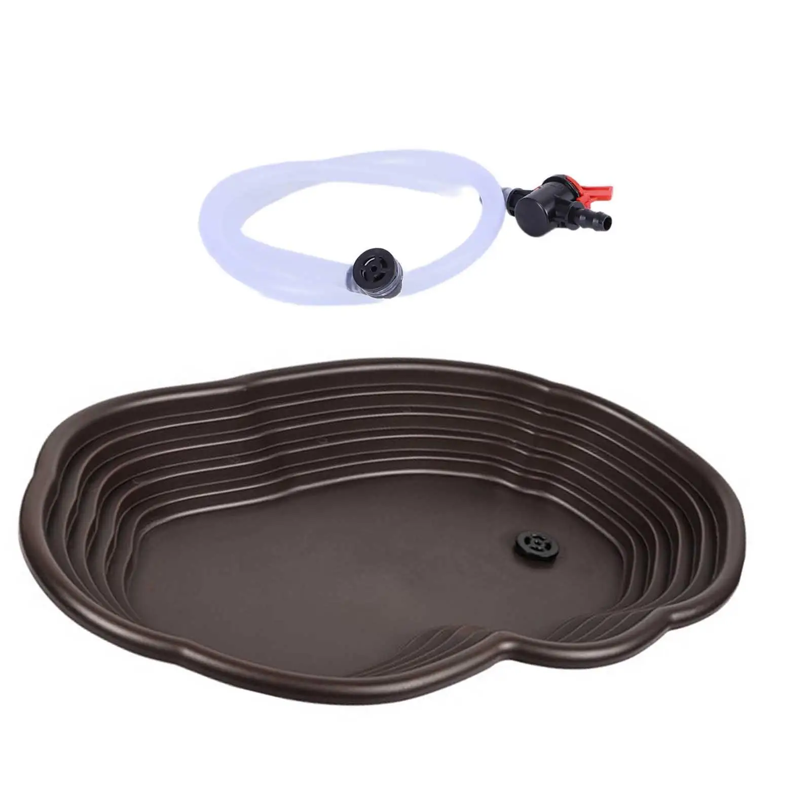 Plato de plástico PP para reptiles