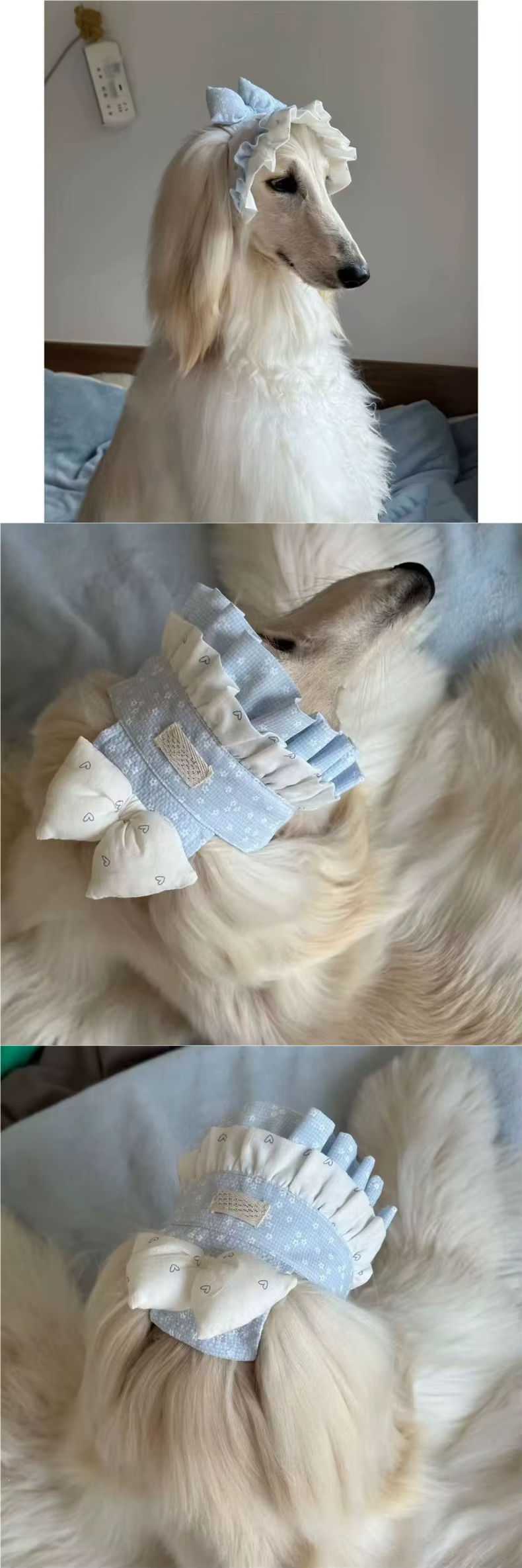 Gorros de dibujos animados para perros