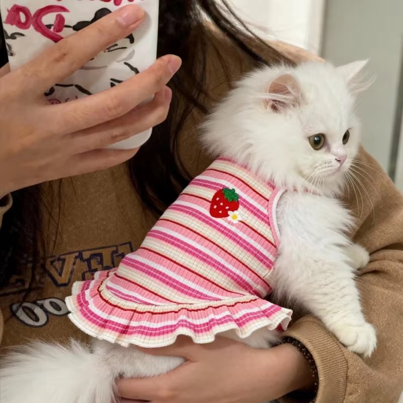 Ropa de verano para perros pequeños o gatos: faldas y vestidos - imagen 4