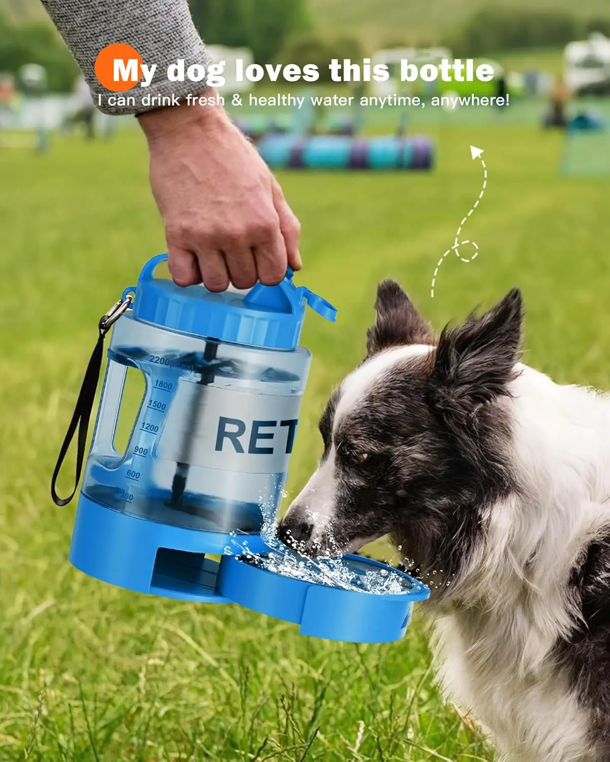 Bebedero de 2.2L como opción práctica para exteriores