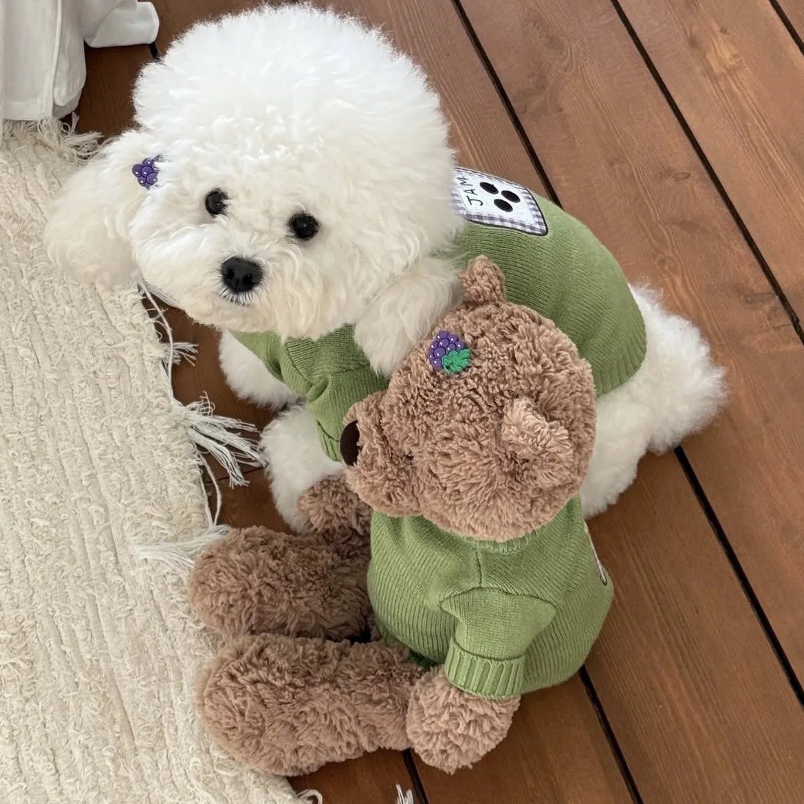 Jersey Teddy de lana gruesa para perros pequeños y gatos - imagen 5