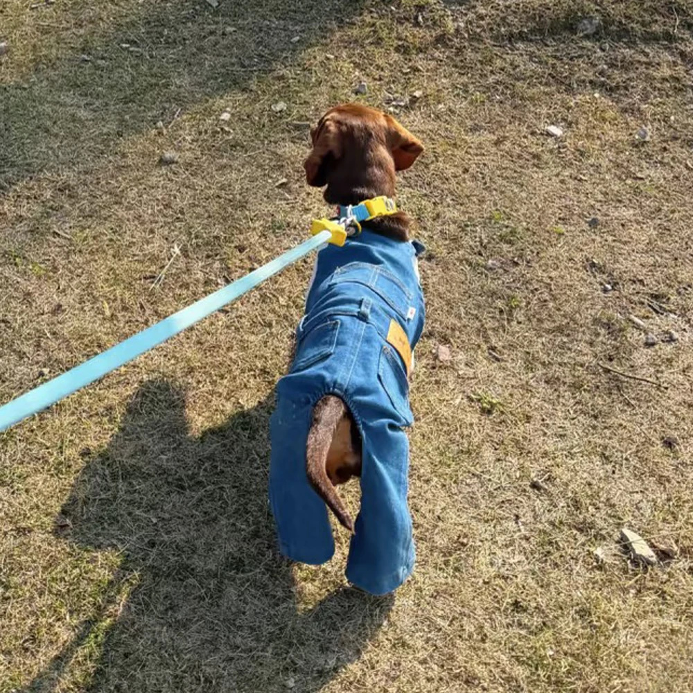 Pantalón vaquero fino de tirantes ajustable para perros salchicha