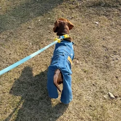 Pantalón vaquero fino de tirantes ajustable para perros salchicha