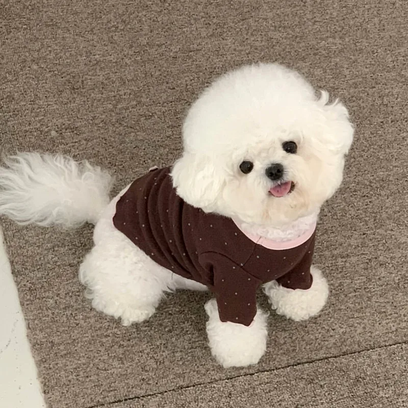 Camiseta con Cuello Redondo para Perros Pequeños – Otoño/Invierno - imagen 3