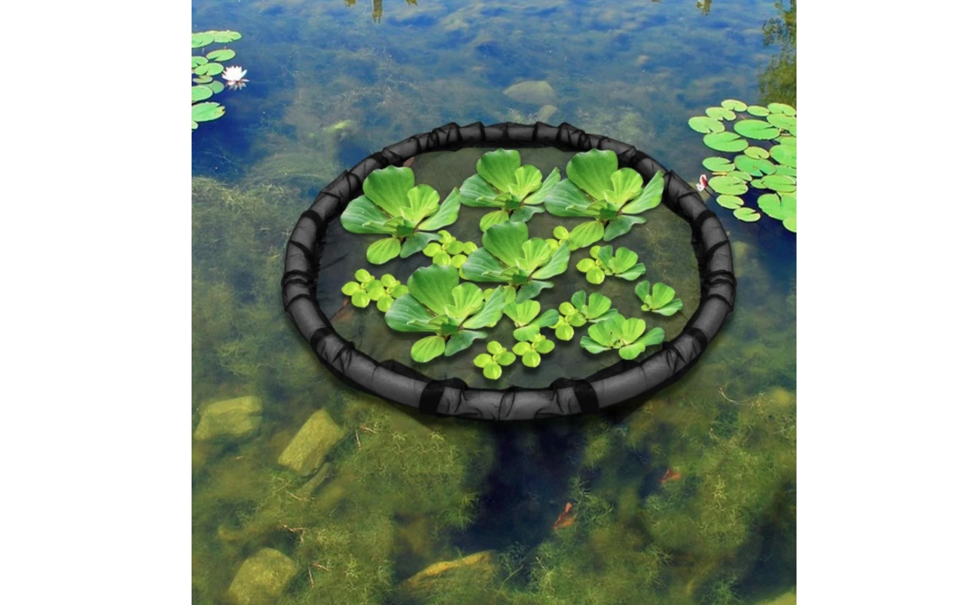 Red flotante para separar plantas flotantes en el estanque