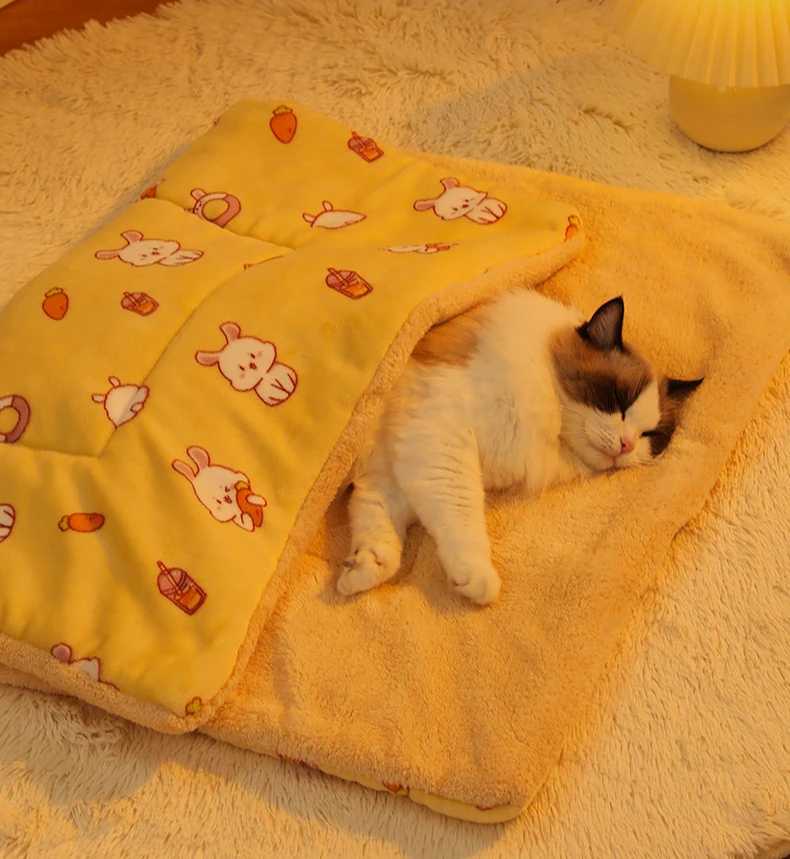 Gato descansando sobre la manta en interior