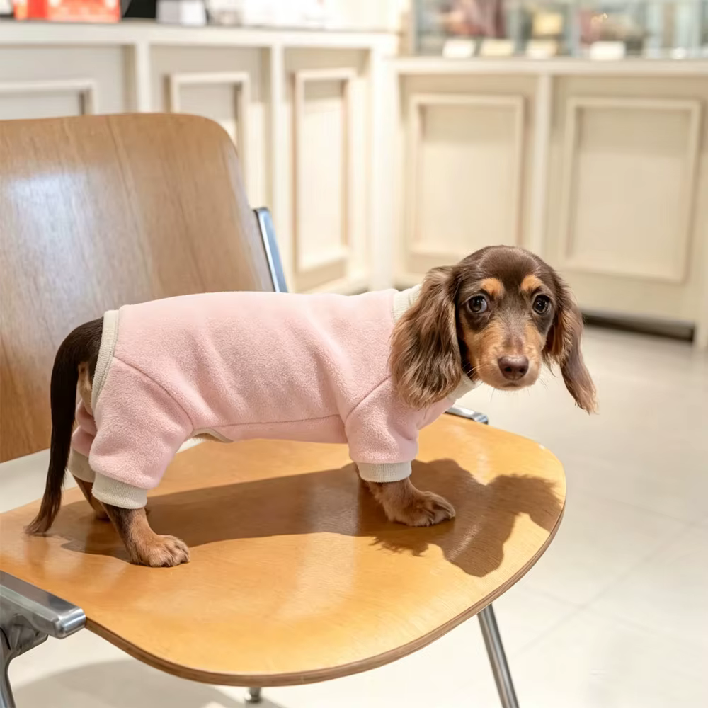 Sudadera forro polar para perro salchicha Dachshund, cubre vientre - imagen 2