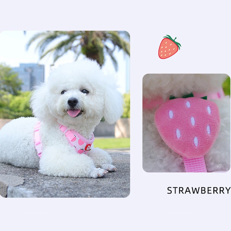 Arnés y correa ajustable para perros pequeños y medianos – Diseño fresa - imagen 3