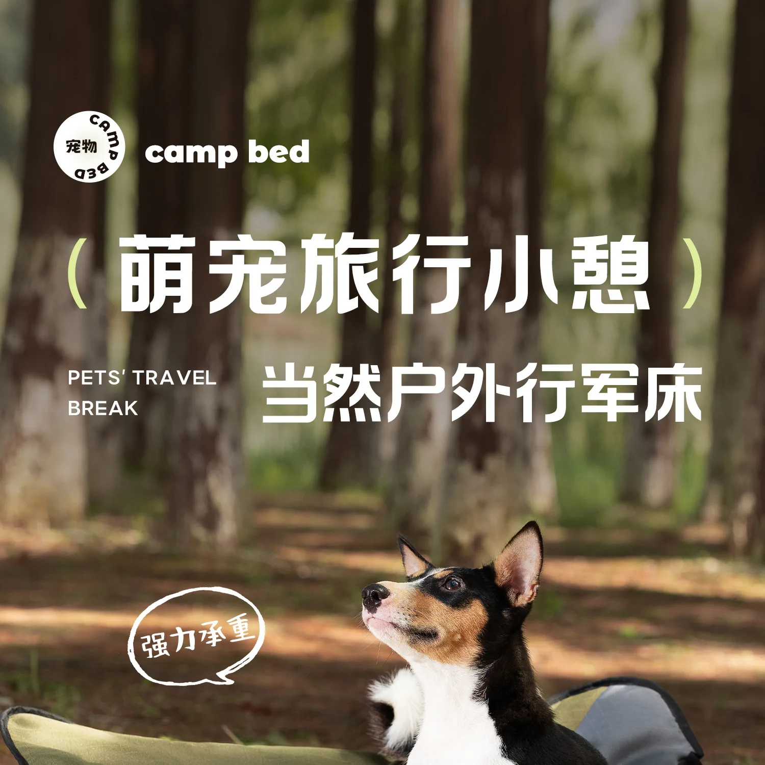 Cama plegable para perro en posición abierta, mostrando su superficie de descanso