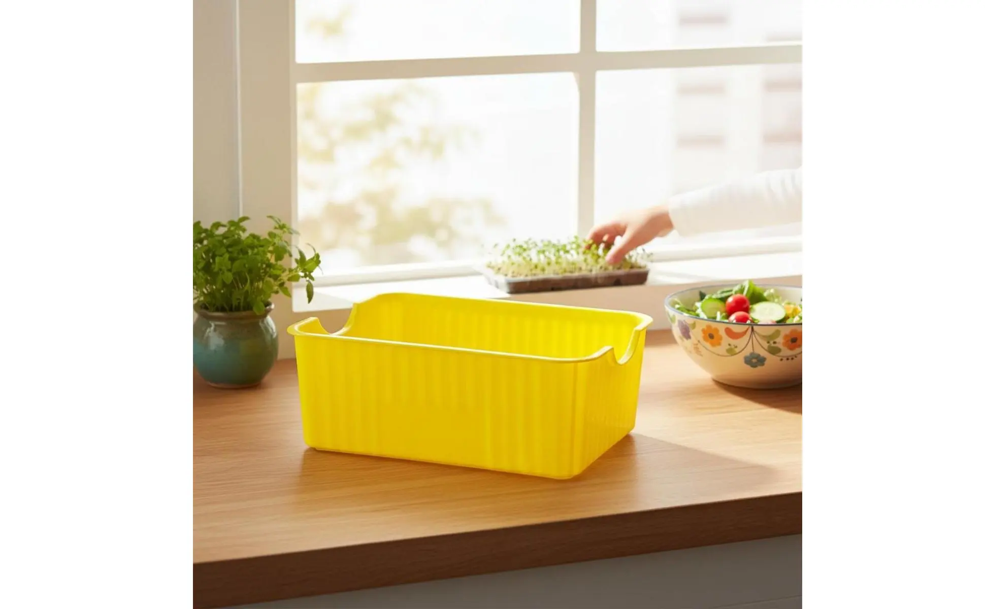 Germinador de semillas de dos niveles con cesta transparente