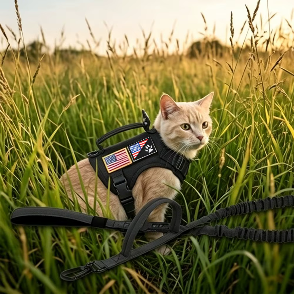 Arnés para gatos táctico con parches y correa antitirones elástica