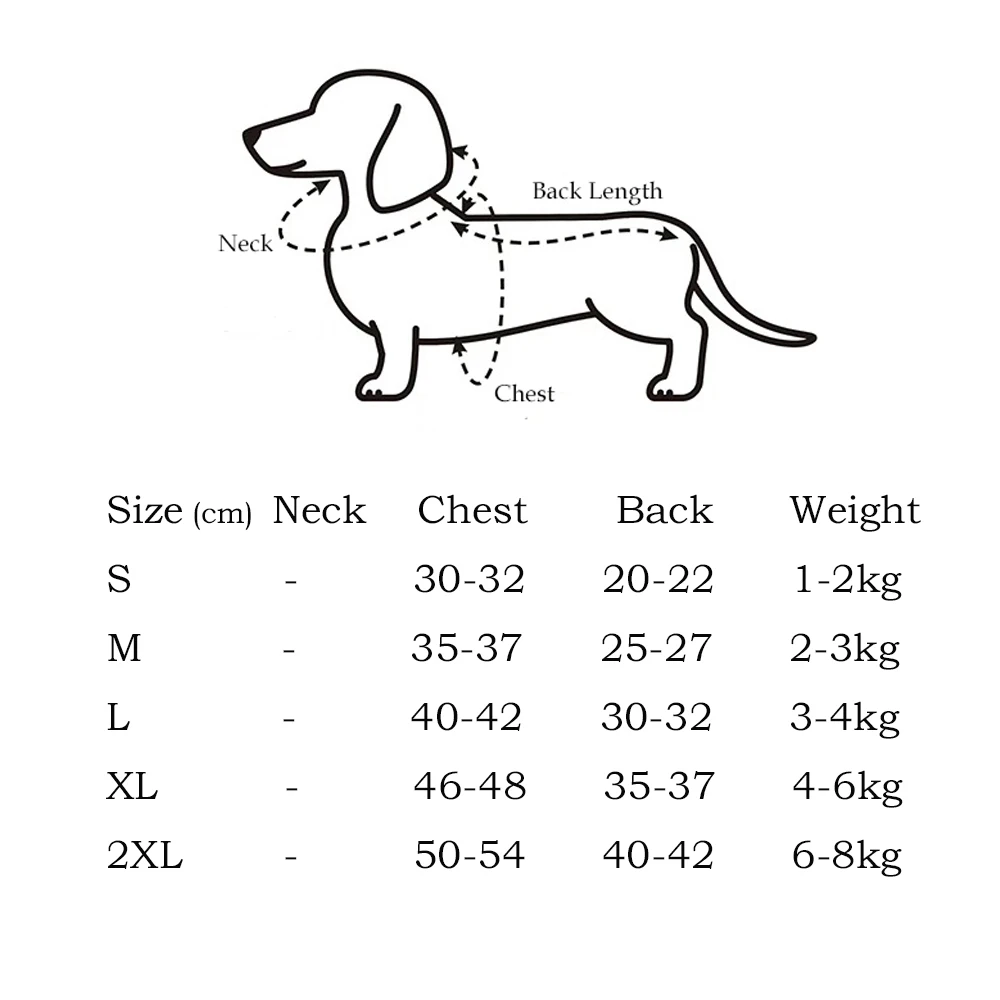 Chaqueta puesta en un dachshund mostrando el ajuste alrededor del pecho